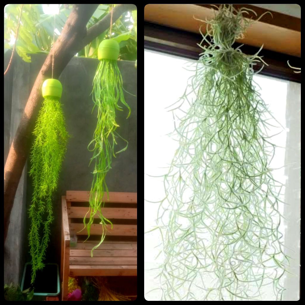 Daun Lee Kwan yew jenggot musa bunga hias artificial imitasi palsu plastik