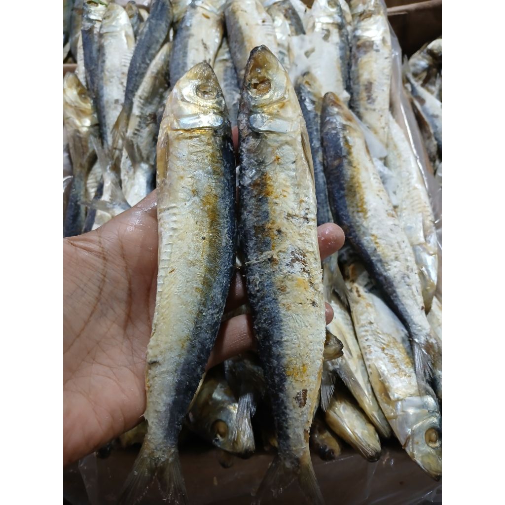 

IKAN ASIN JAPUH SERO 500GRAM