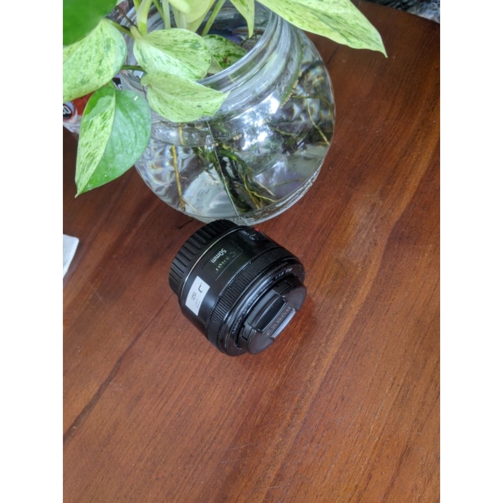 lensa fix 50 STM for canon