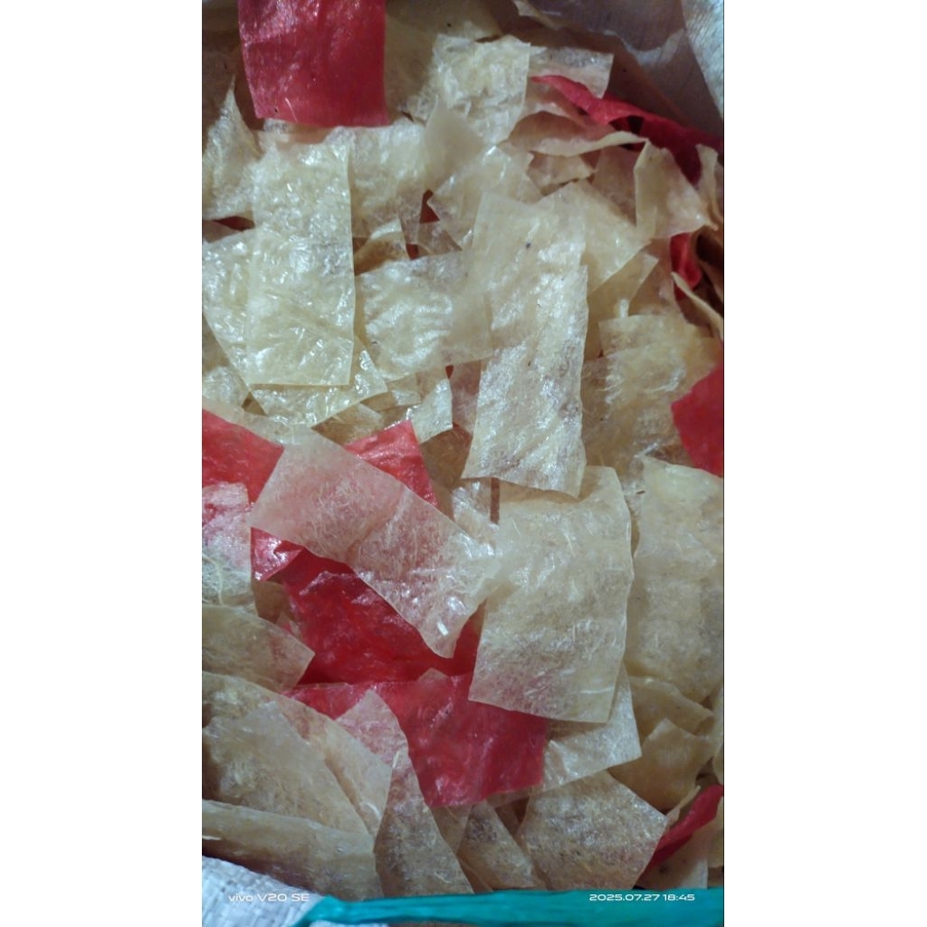 

opak telo jadul (MENTAH), home made khas Tulungagung 500gr