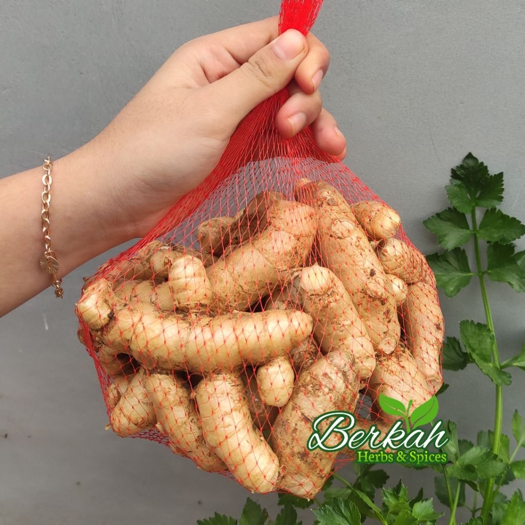 

Temu Putih Segar 1kg Temu Putih asli Temu Putih Fresh Herbal