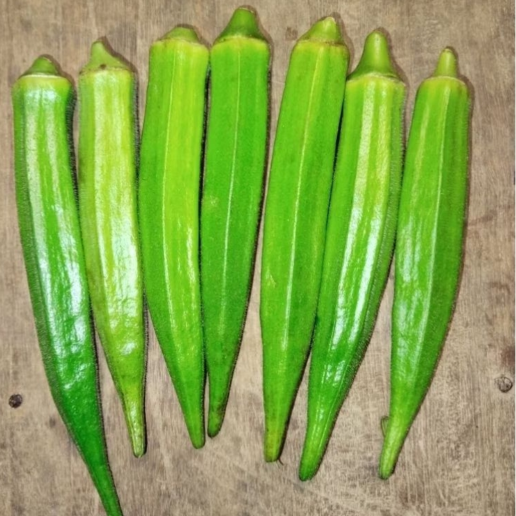 

BAHAN INFUS WATER OKRA PANJANG 1KG