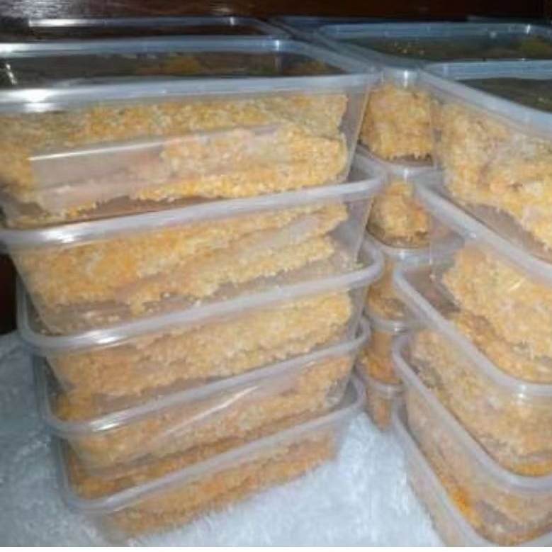 

FROZEN FOOD AYAM KATSU/CHICKEN KATSU FRESH ISI 5