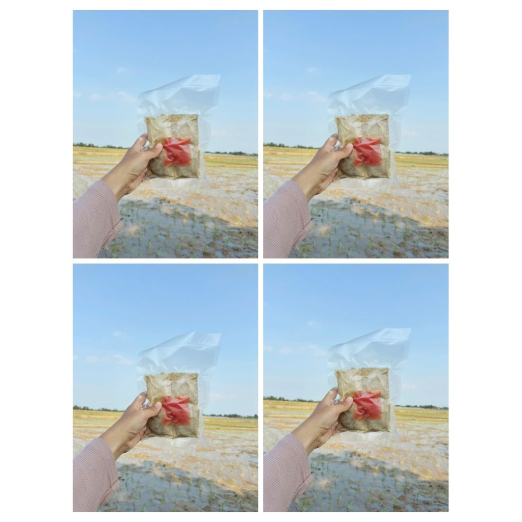 

Dimsum Goreng Keju Lumer isi 4 picis free saus sambal By 4food