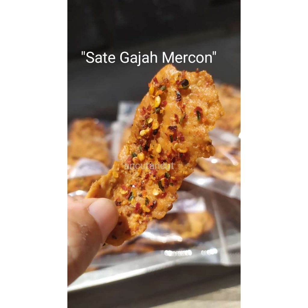

SATE GAJAH MERCON KHAS INDRAMAYU