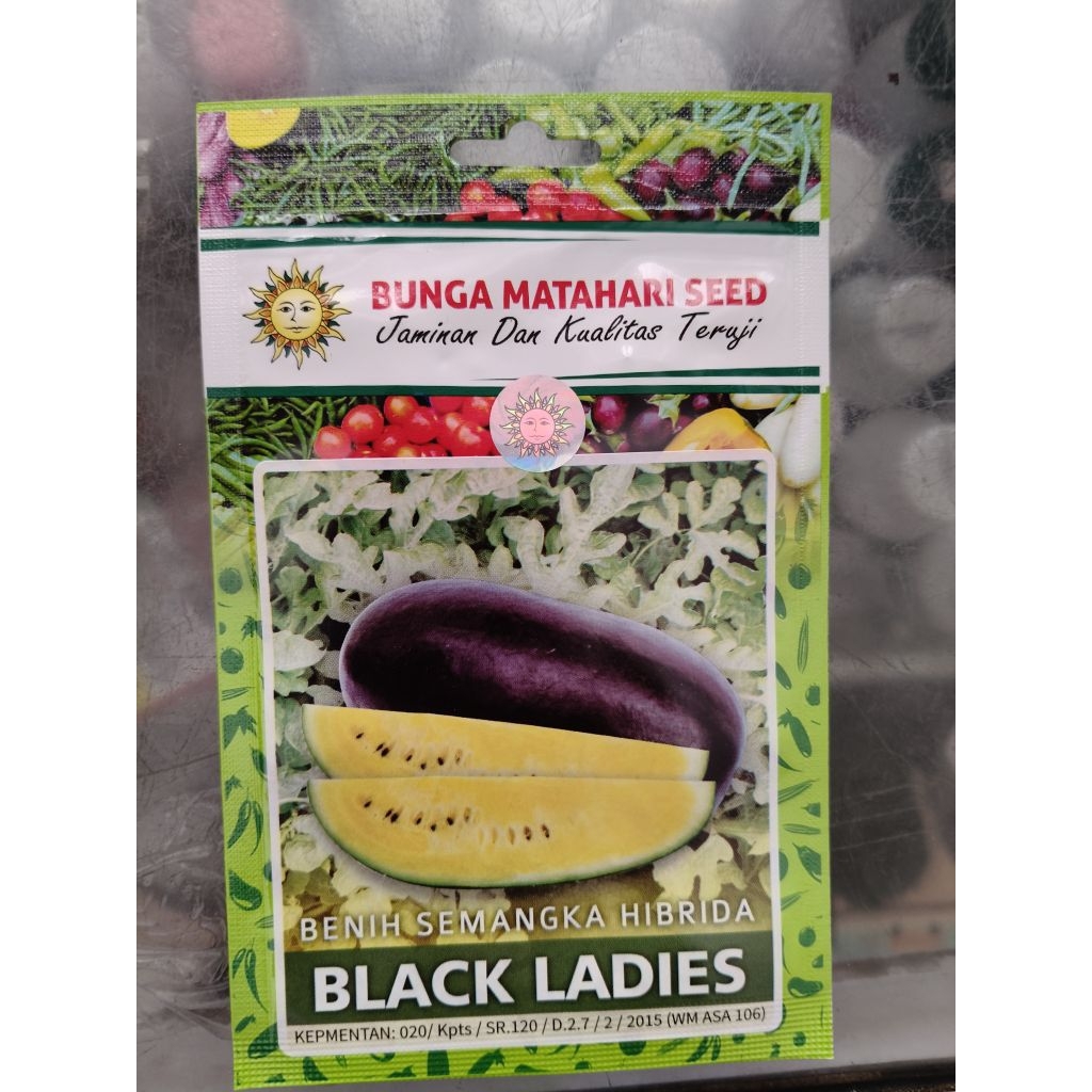 

BLQCK LADIES F1 @25BUTIR BENIH SEMANGKA KUNING CAP BUNGA MATAHARI