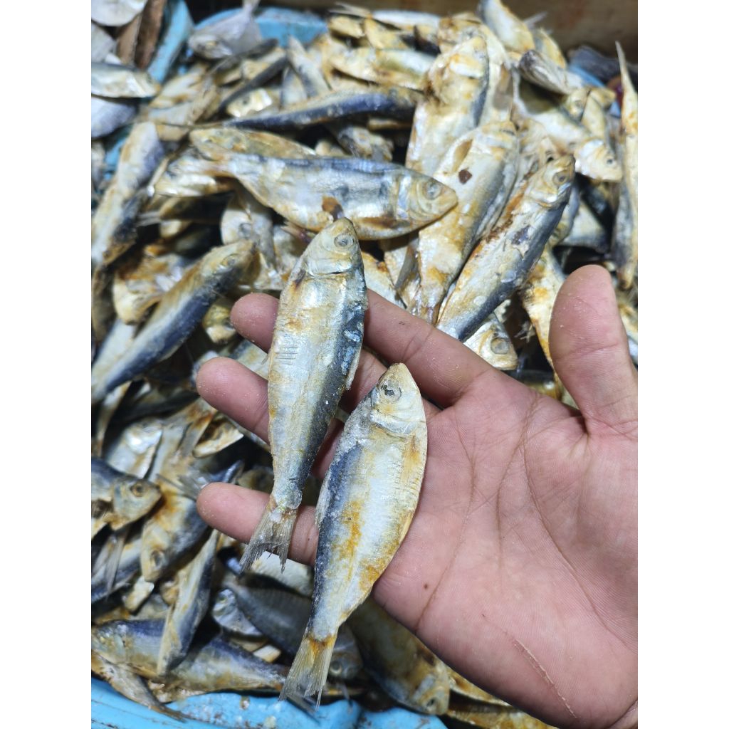 

ikan asin tembang 500gram