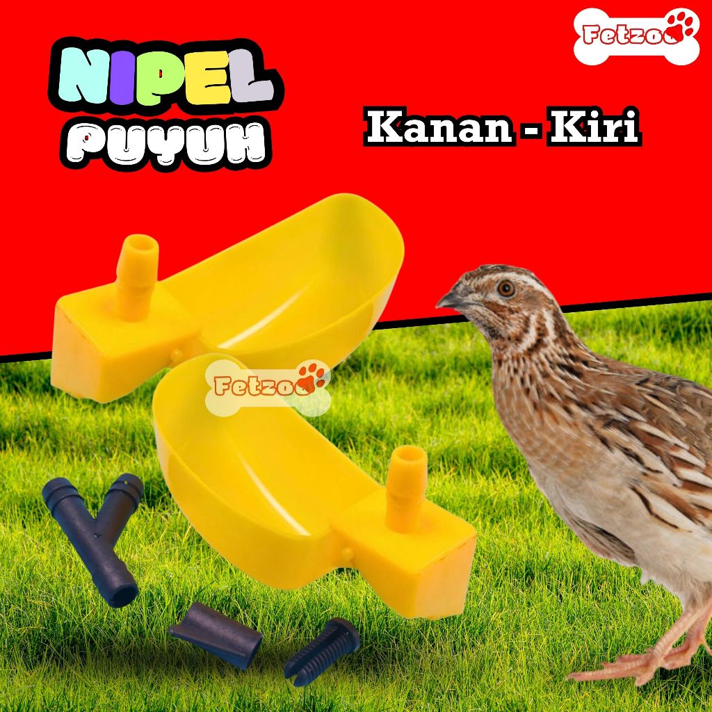 Nipel Puyuh Nepel Alat Tempat Minum Puyuh Ternak Hewan Peliharaan FETZOO