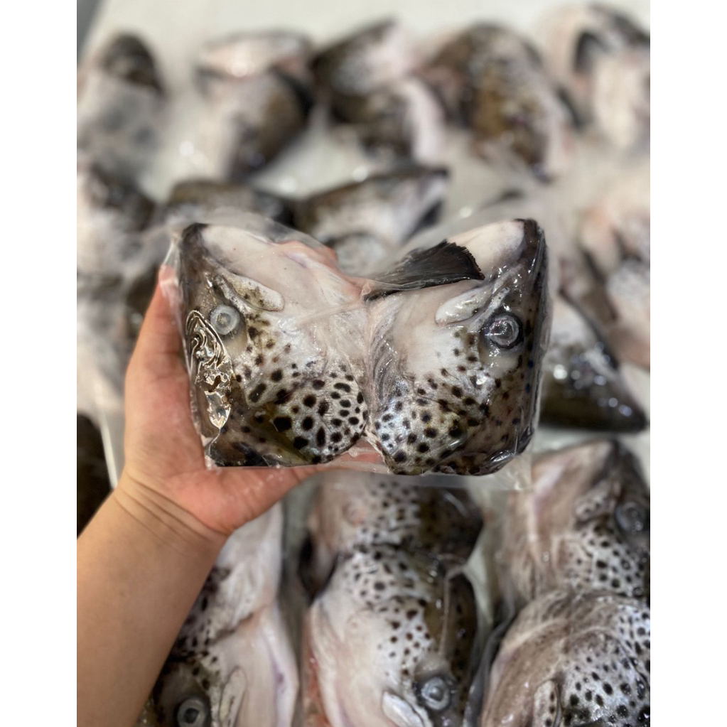 

kepala salmon