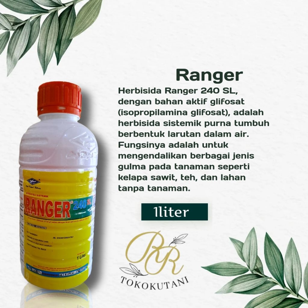 Herbisida Sistemik Ranger 240SL Mengendalikan Gulma Pada Tanaman Kemasan 1Liter