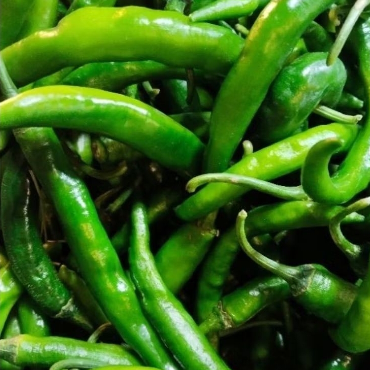 

Cabe ijo besar Lombok ijo besar segar