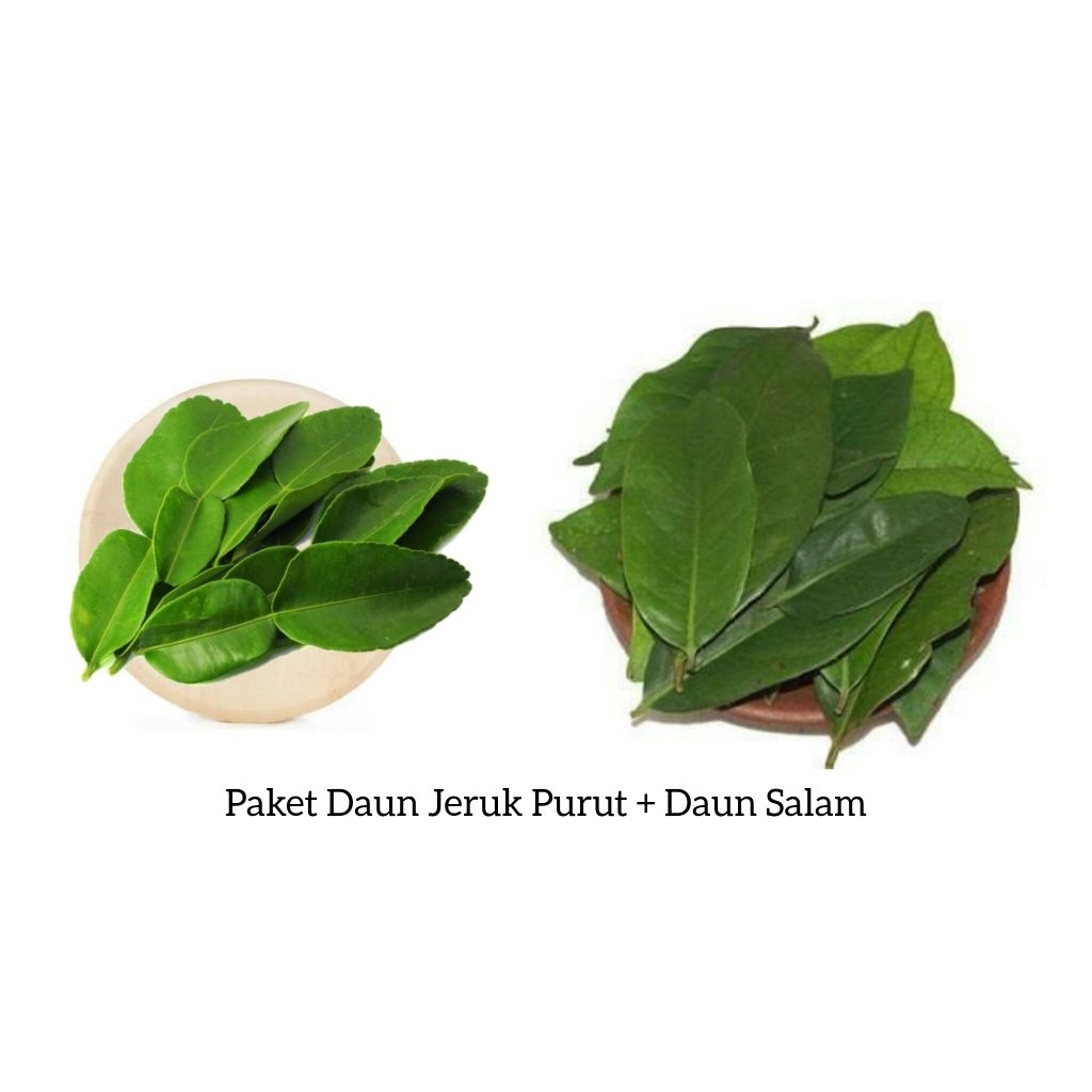 

DAUN SALAM & JERUK PURUT