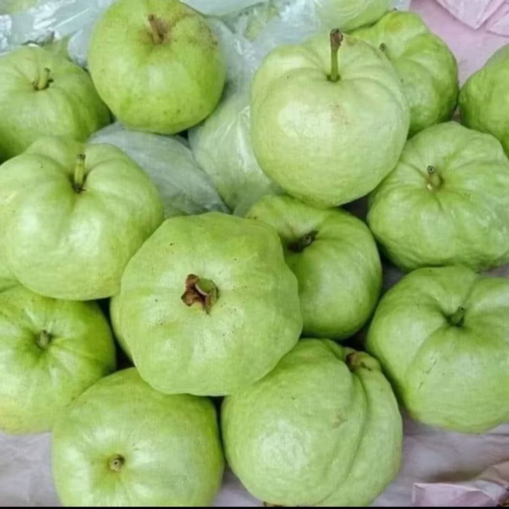 

jambu kristal paket 50 kg