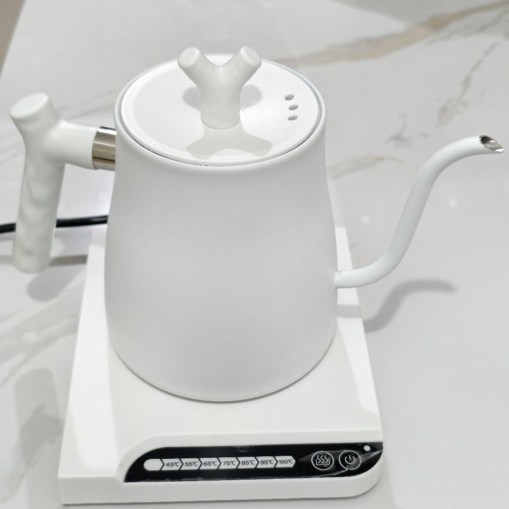 Ganghan Electric Kettle