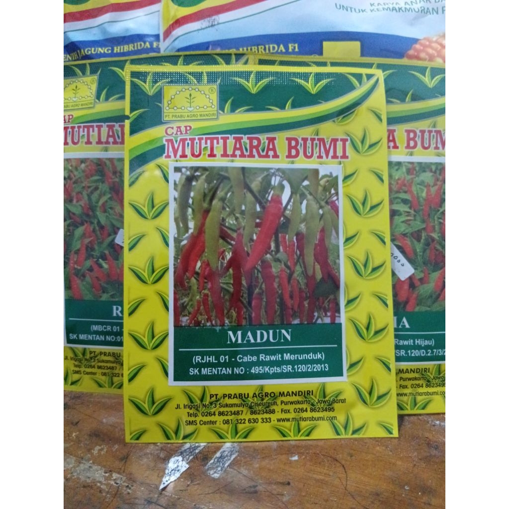 benih cabai rawit MADUN 10 GRAM