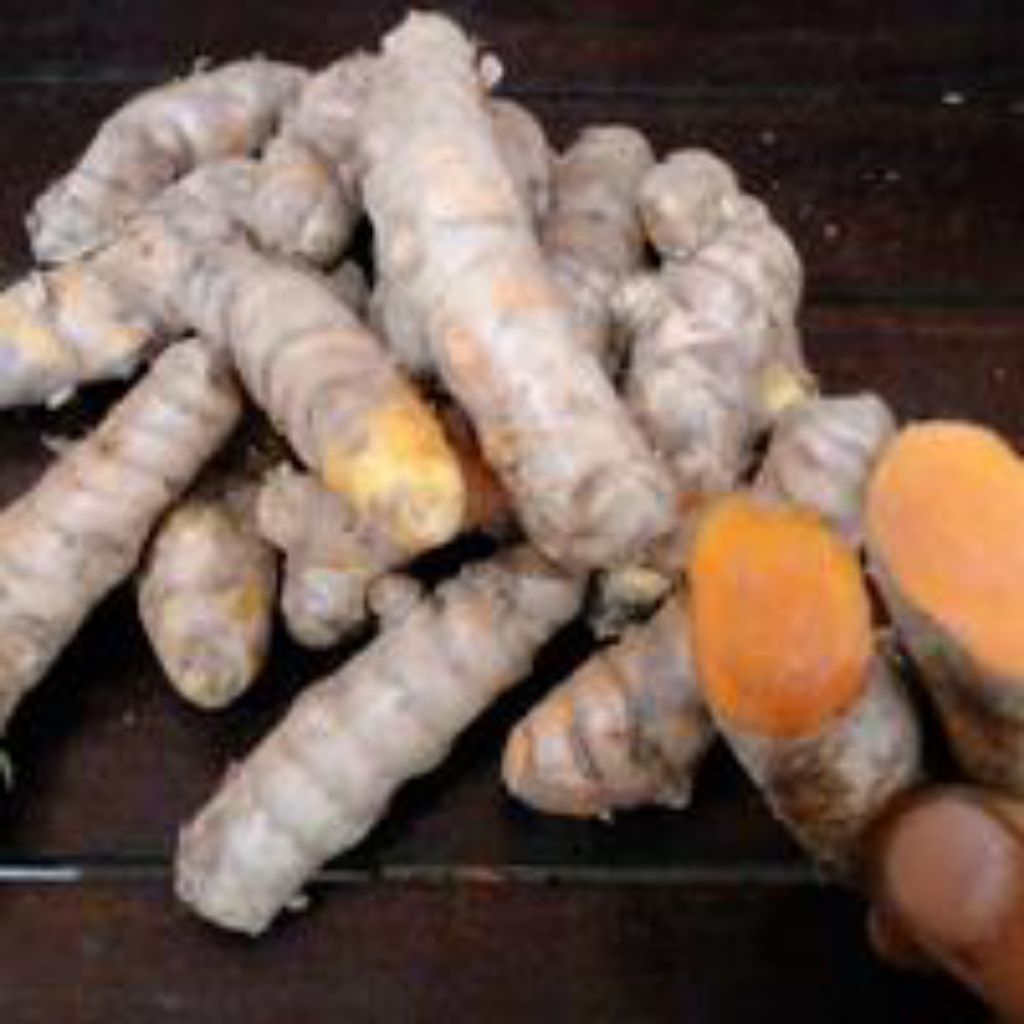 

HEMAT kunyit bumbu masak 1kg kunir curcuma