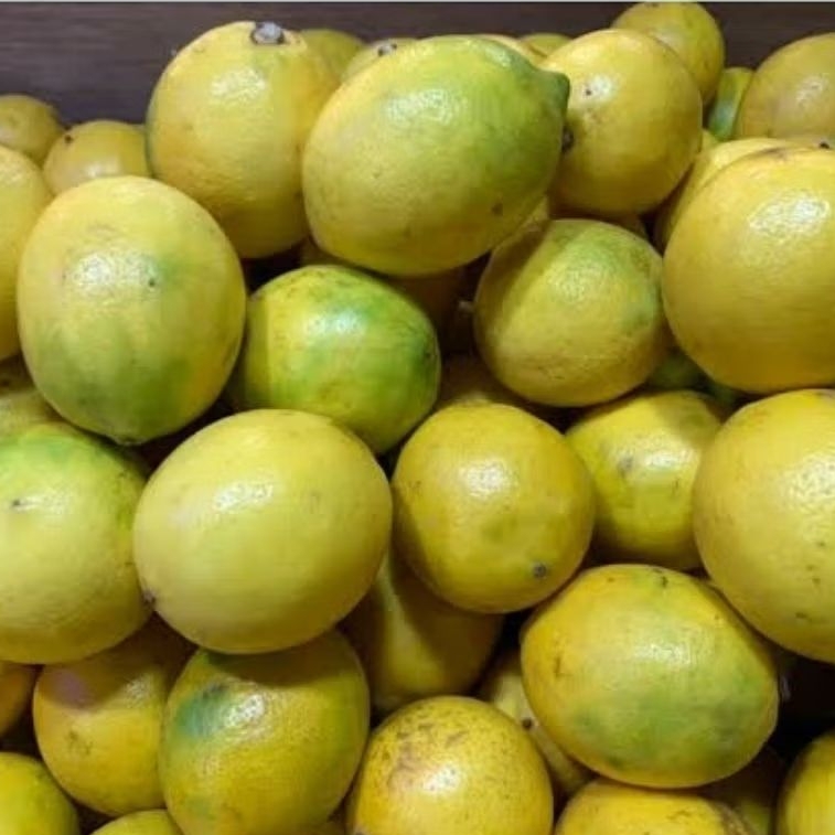 

Lemon california / lemon lokal _ 500gr