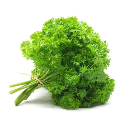 

Daun Parsley / Peterseli / Daun Peterseli / Daun Parsley / Daun Parsley Segar / 1 Kg