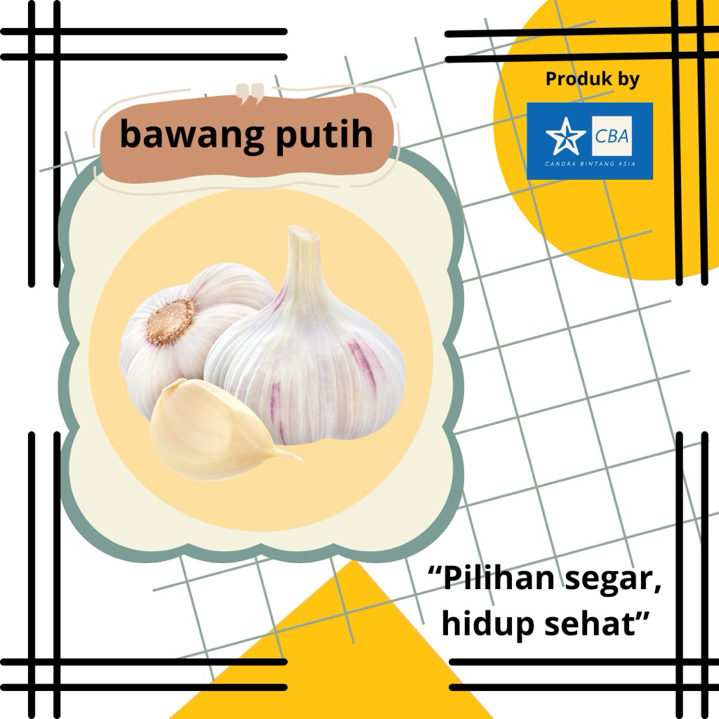 

Bawang Putih Sico – Aroma Tajam, Daging Padat, Cocok Buat Masak Siap Kirim!