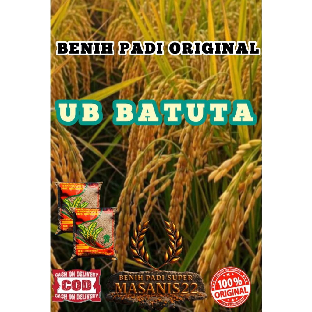 BENIH PADI UB 2 BATUTA ORIGINAL KEMASAN 5KG