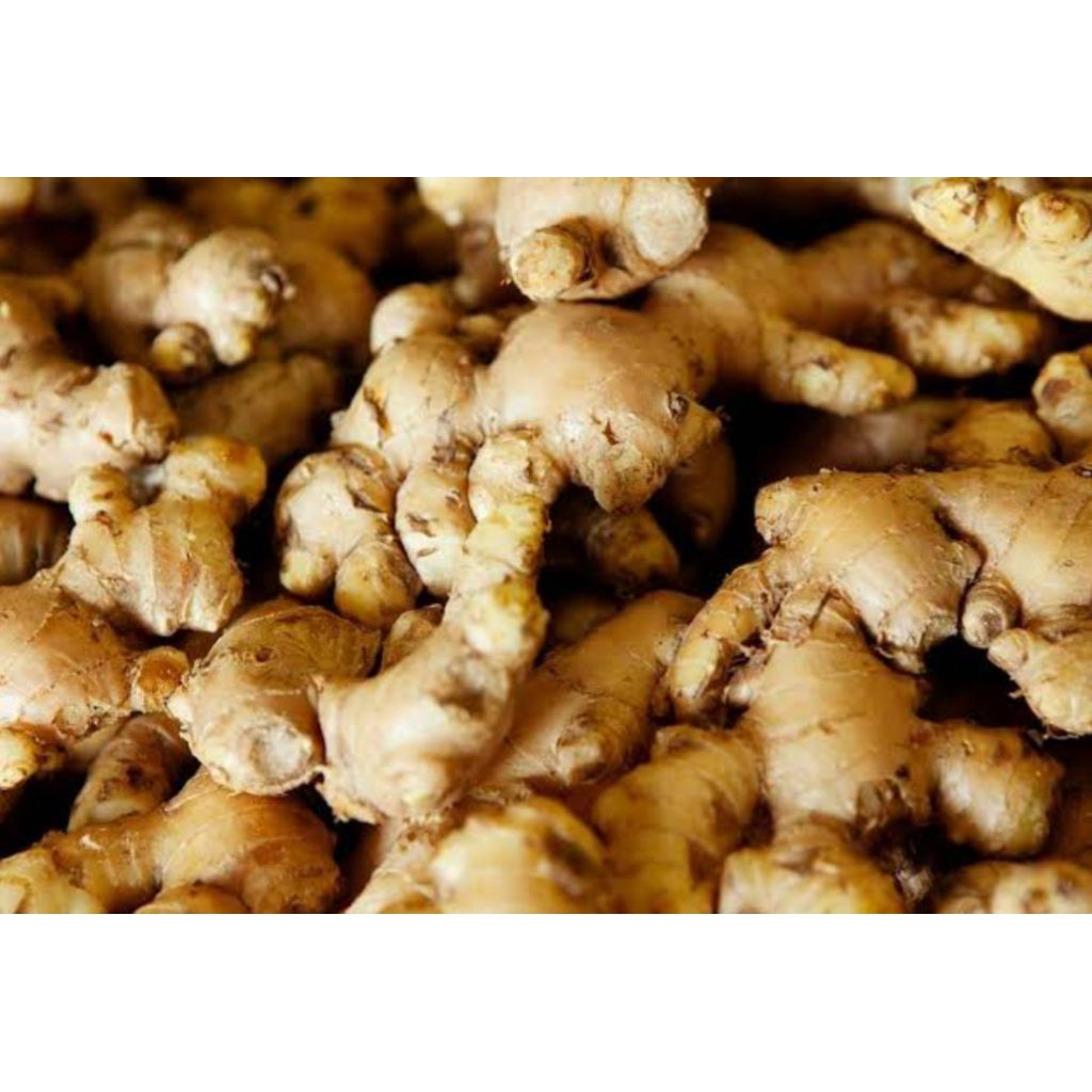 

jahe segar press 500g/1kg