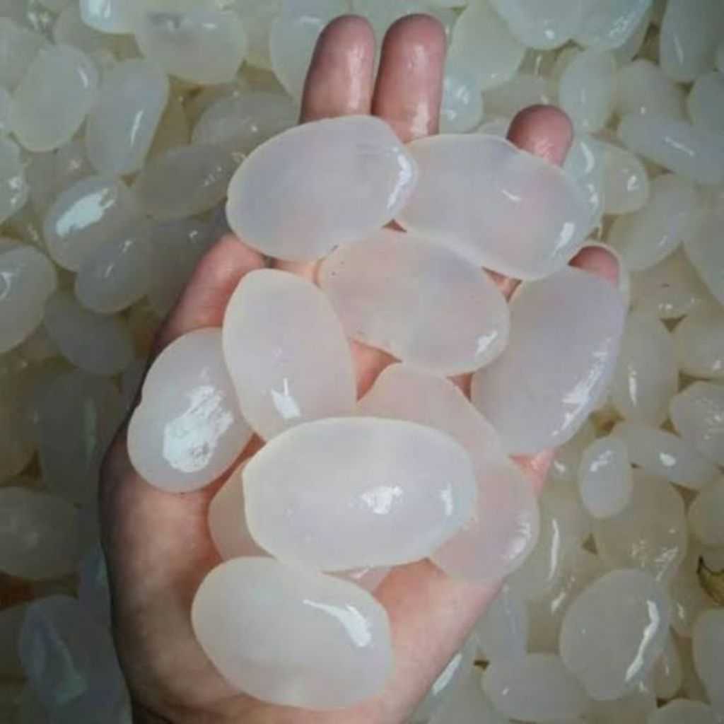 

Kolang Kaling/Cangkaleng segar kwalitas terbaik 1kg