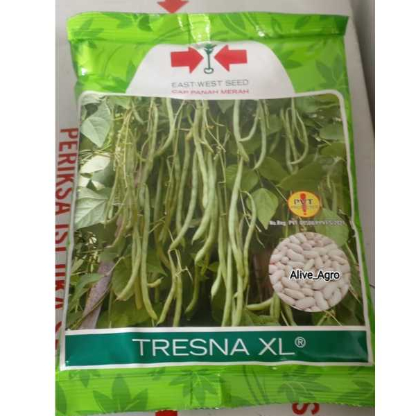 Benih Buncis Tresna XL 500 Gr