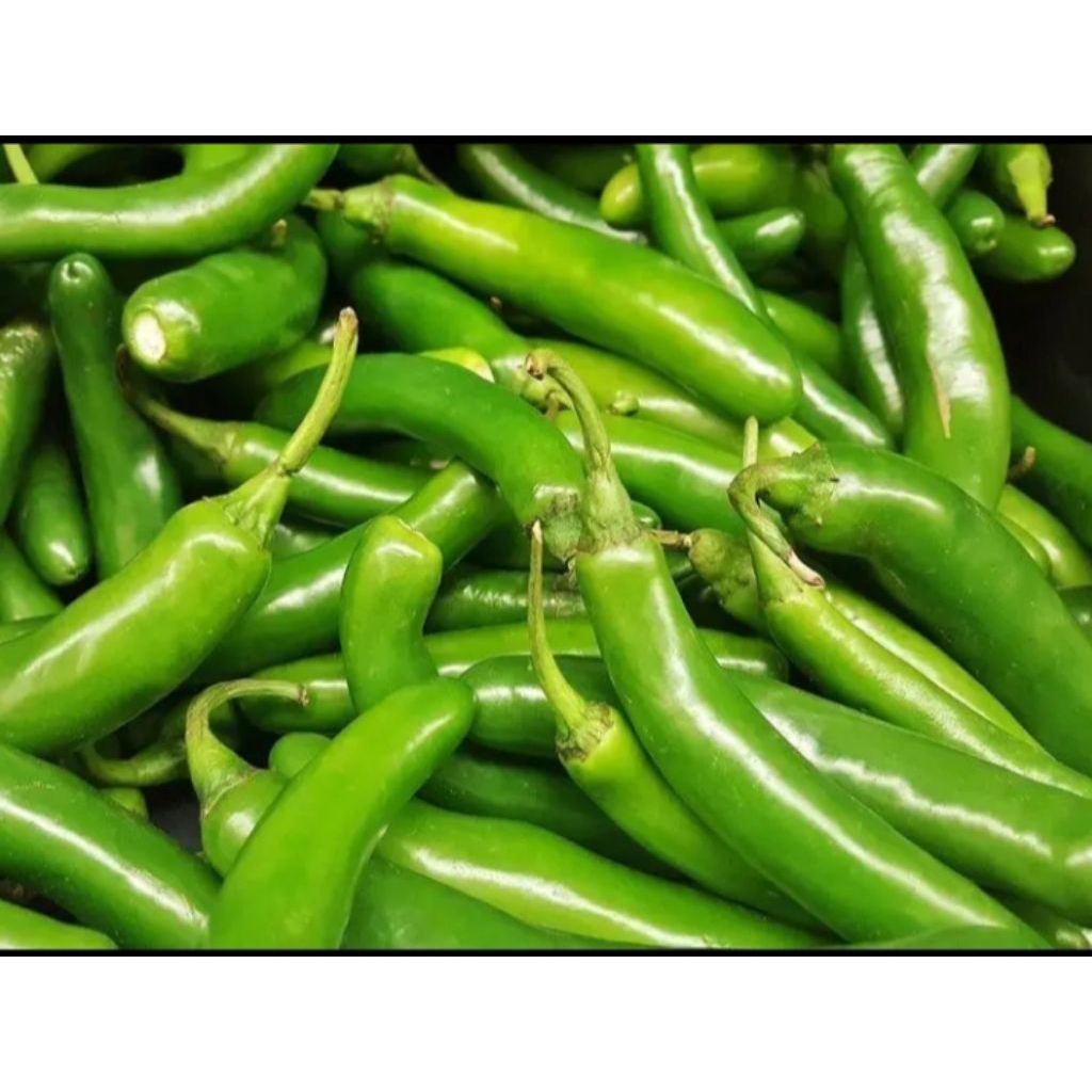 

CABAI IJO BESAR FRESH 500GR / 1KG