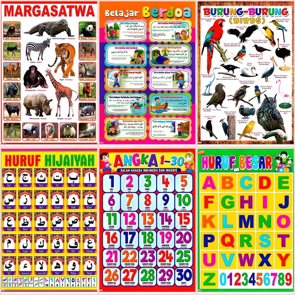 6 Lembar Poster Edukasi Anak Margasatwa, Belajar Berdoa, Burung-burung, Huruf Hijaiyah, Angka 1-30, 