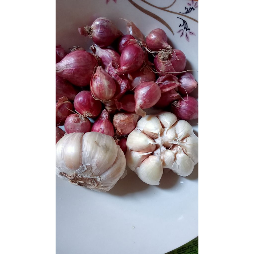 

bawang brambang termurah campur