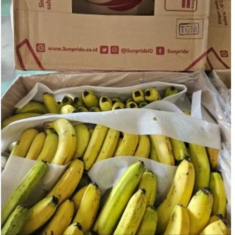 

Buah Pisang Ambon Sunpride Per 1 dus karton