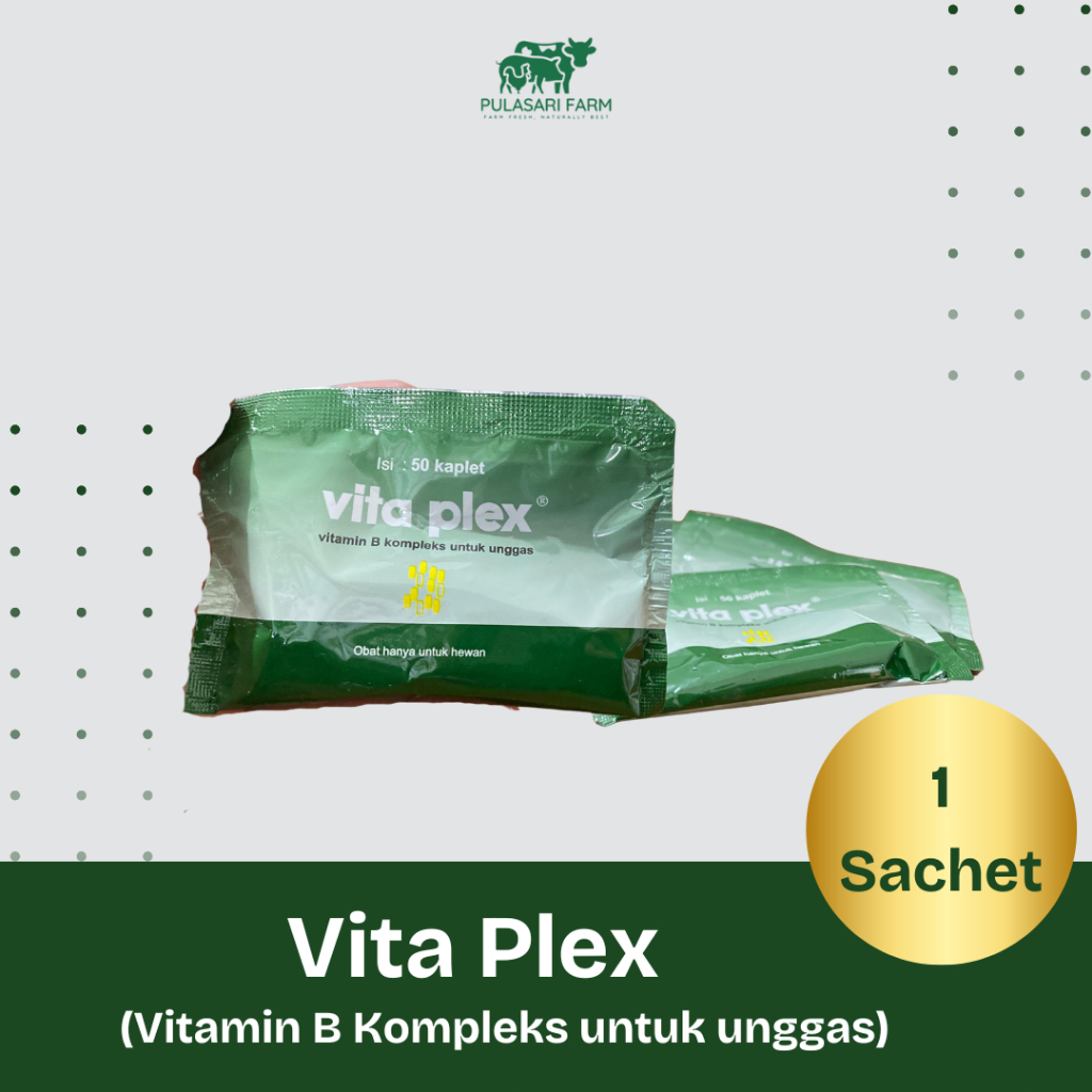 Vita Plex - Vitamin B Kompleks untuk unggas