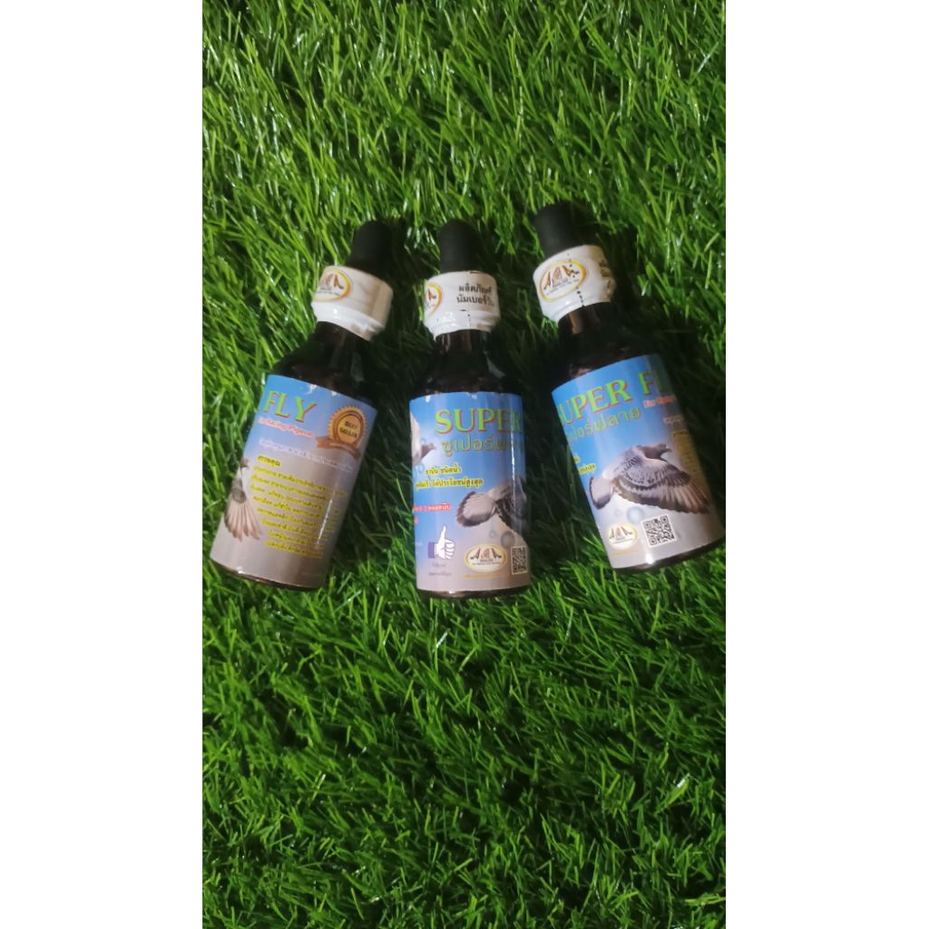 SUPER FLY / super fly ayam aduan / suplemen ayam aduan