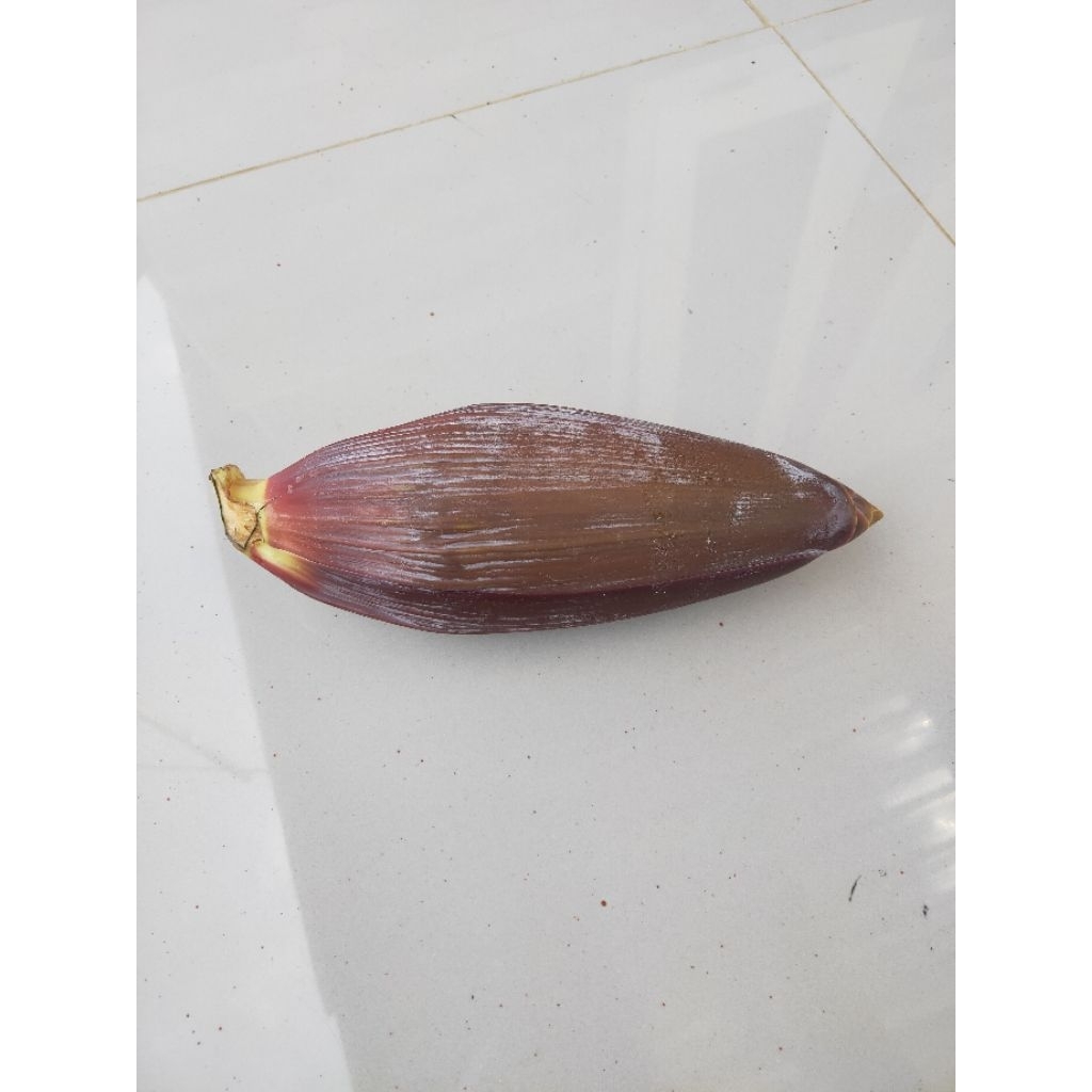 

Jantung pisang batu/klutuk berat 200 gram