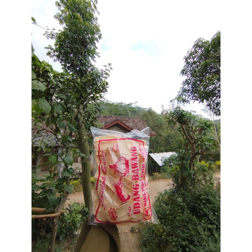 Slondok Super Jumbo Udang Bawang Putih