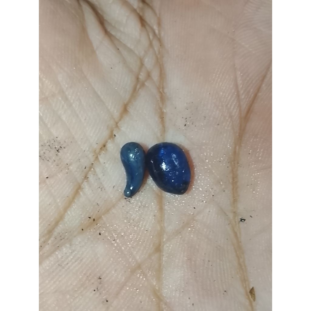 sepasang m .sendang biru samudro