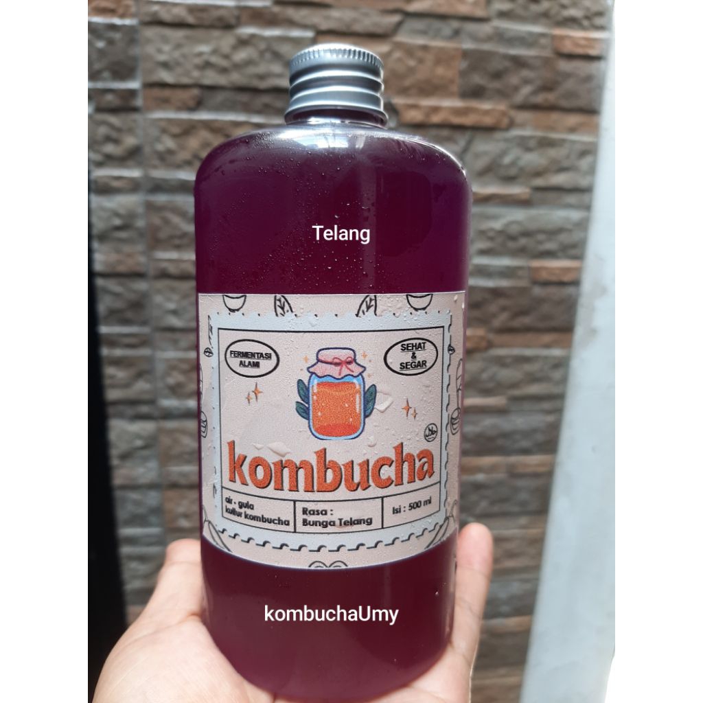 

Minuman KOMBUCHA probiotik 500 ml