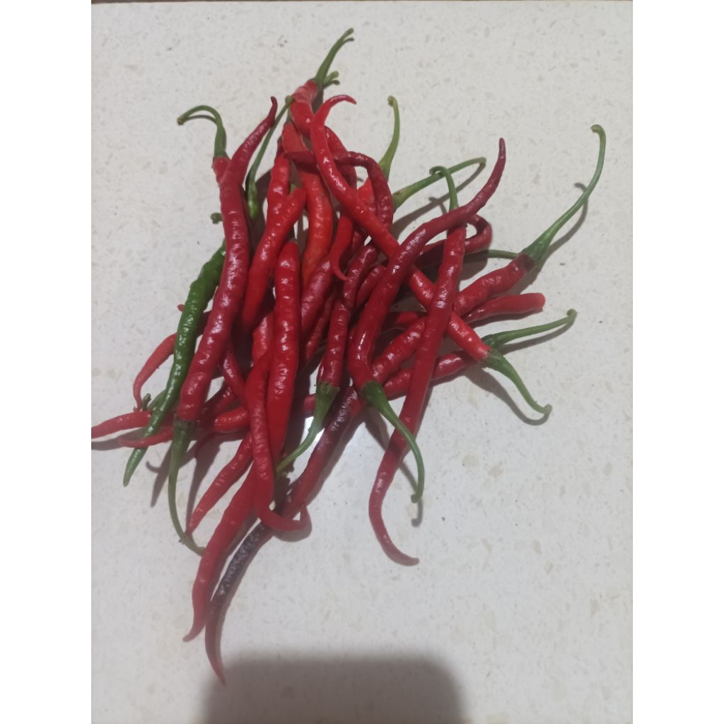 

Cabai Merah Besar 250gram