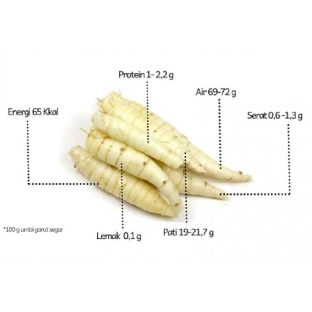 

Umbi Garut Irut Fresh Segar Per1kg Herbal Banyak Manfaat