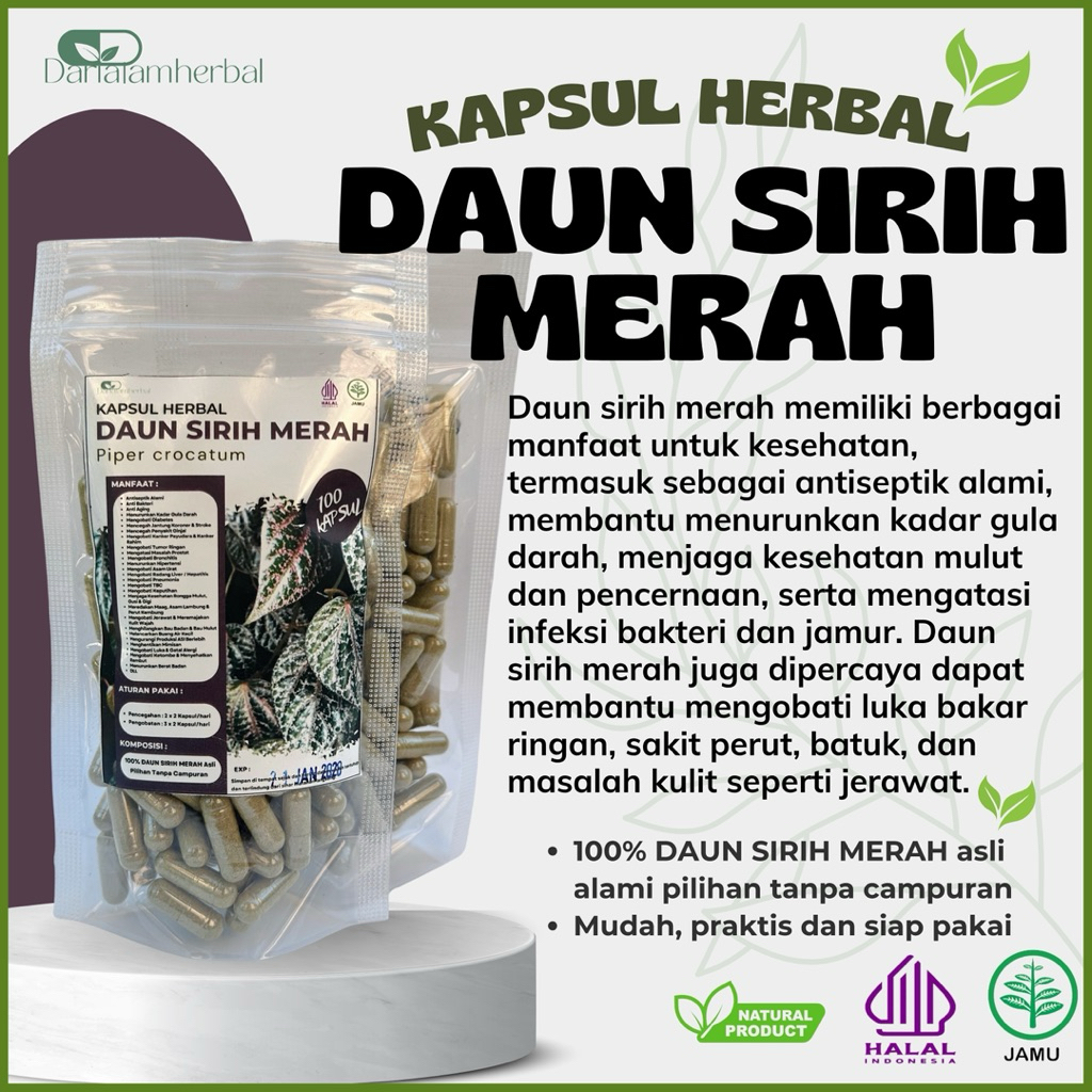 Kapsul Herbal DAUN SIRIH MERAH isi 100 kapsul | Kapsul Sejuta manfaat asli 100% Daun Sirih Merah Ala