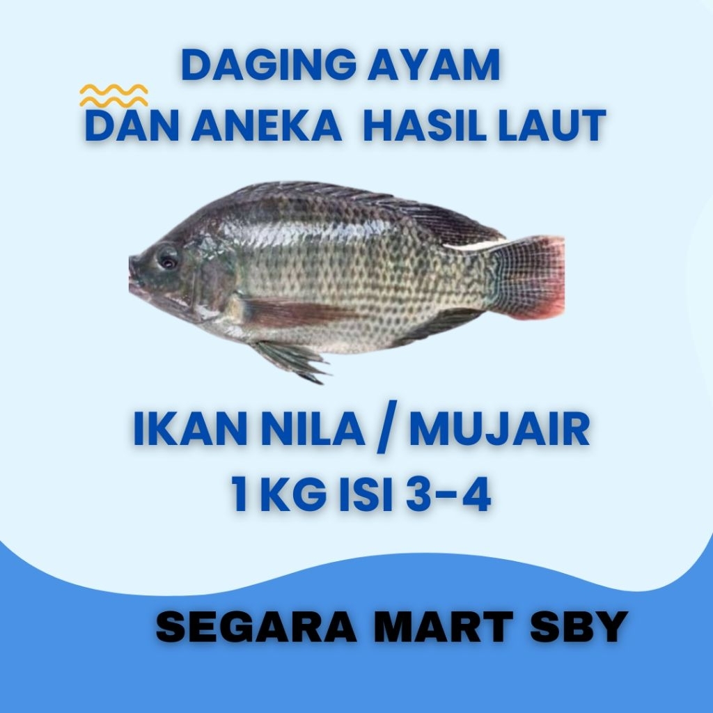 

IKAN MUJAIR / NILA 1 KG ISI 3-4 EKOR || Segara Mart Sby