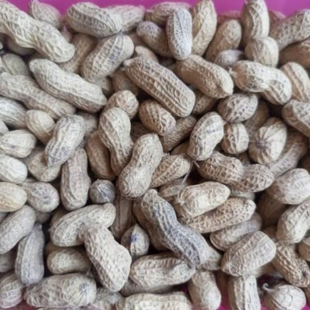

KACANG KULIT SHANGHAI RENYAH GURIH 500 Gram