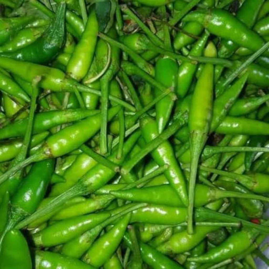 

Cabe Rawit Hijau / Ijo Caplak 500 gr