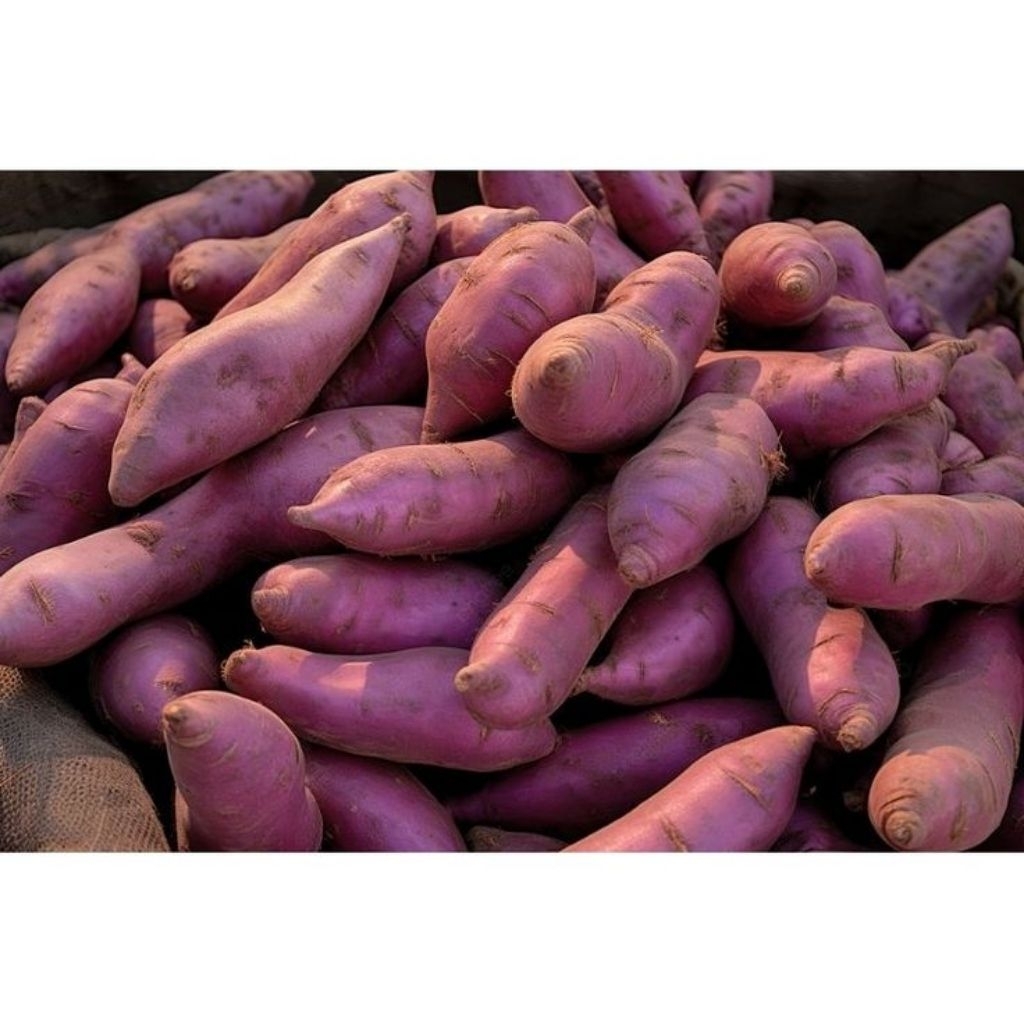 

makanan alami umbi ungu berat 1 kg