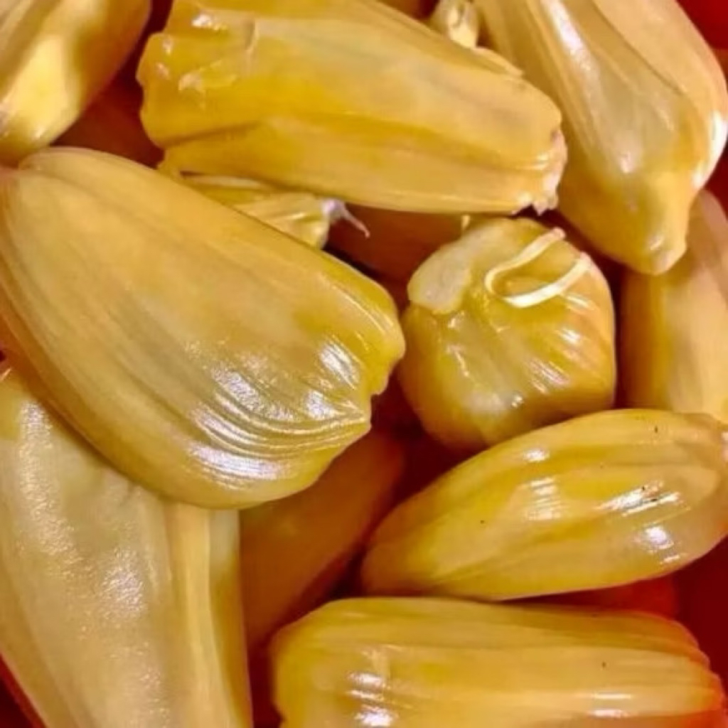 Nangka Kupas Fresh | Nangka Kupas Super Manis Fresh 1kg