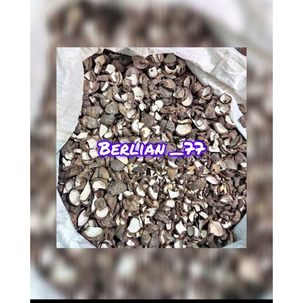 

kulit kemiri atau cangkang kemiri 1kg