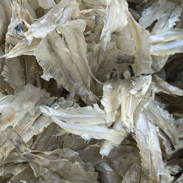 

IKAN KERUPUK PUTIH / PAKANG TAWAR