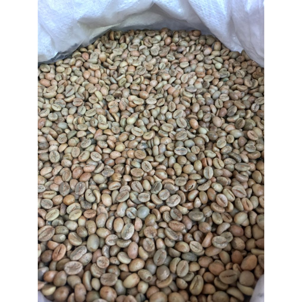 

Robusta Temanggung Grade 1