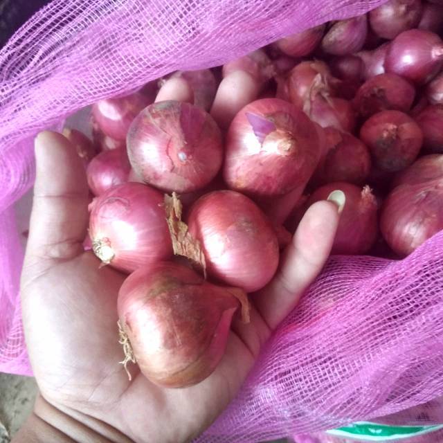 

Bawang Merah Probolinggo kering Besar 500 gram
