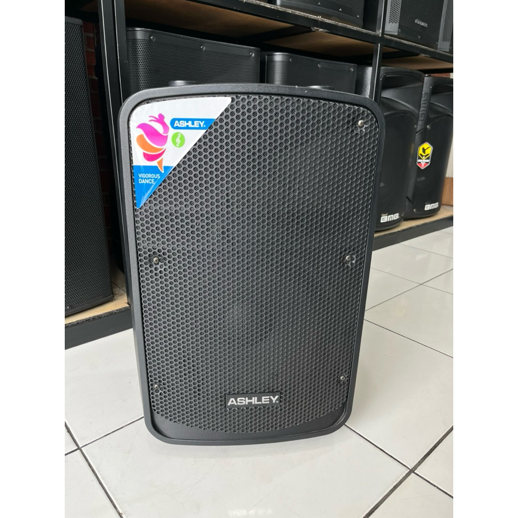 SPEAKER PORTABLE ASHLEY IR500 / IR 500 / IR-500 12 INCH ORIGINAL